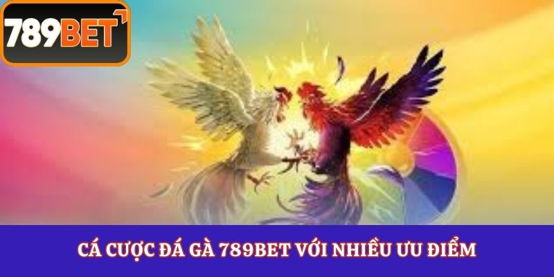 Cá cược đá gà 789Bet với nhiều ưu điểm